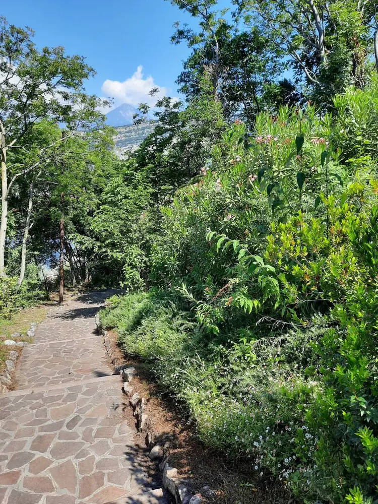 Schmaler Weg durch Bäume mit Blick auf den Gardasee und Berge im Hintergrund