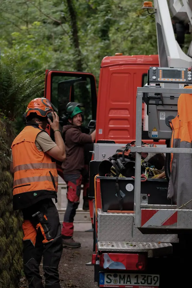 Team von Green Terra Vision bei der Baumpflege in Reutlingen