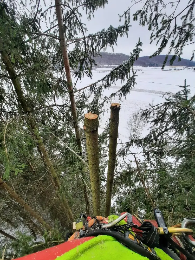 Von oben: Blick aus der Baumkrone über verschneite Felder